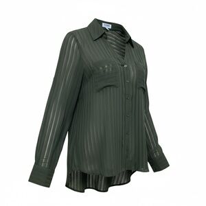 Express Portofino sheer blouse. Dark olive green. Size Medium
